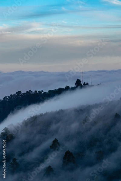 Fototapeta The fog covers a forest covering the trees and the antennas on the hill