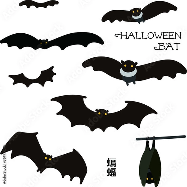 Fototapeta 蝙蝠　セット　