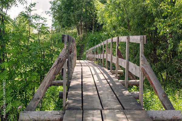 Obraz wooden bridge in the forest