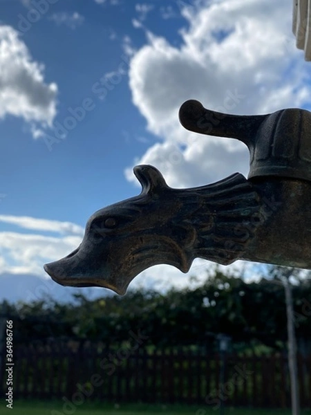 Obraz dragon-shaped faucet