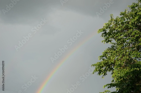 Fototapeta rainbow in the sky