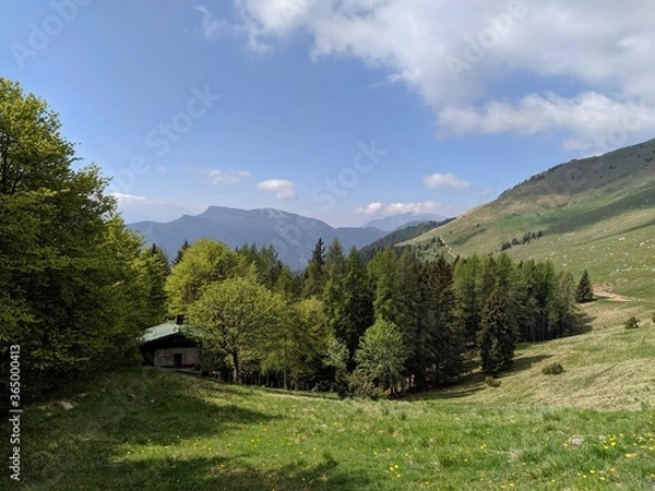 Fototapeta landscape in the mountains