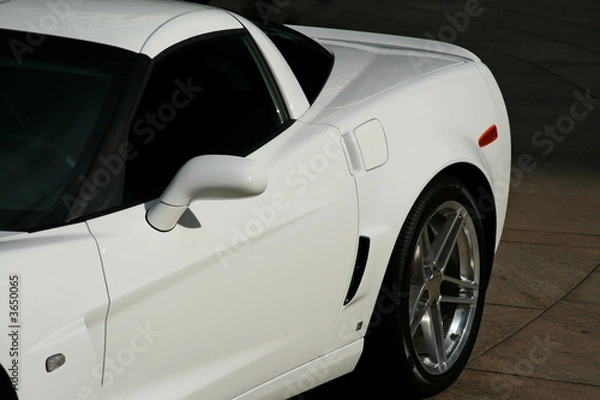 Fototapeta backend of a white muscle car