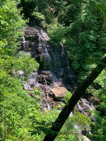 Fototapeta waterfall in the forest