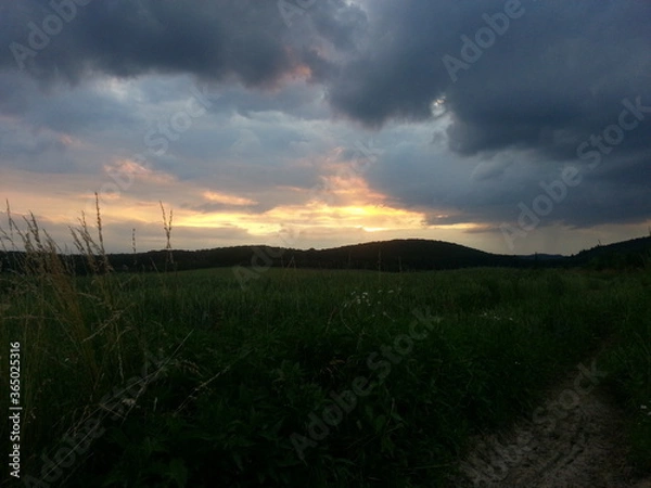 Obraz sunset over the field