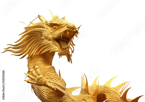 Obraz Chinese dragon