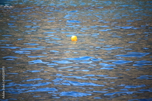 Fototapeta yellow boa