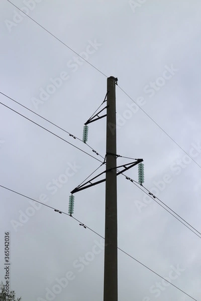Fototapeta Power lines on a summer day in the village