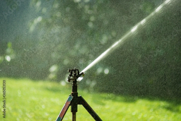 Fototapeta Lawn water sprinkler spraying water over lawn green fresh grass in garden on hot summer day. Automatic watering equipment, lawn maintenance, gardening and Irrigation system. Blurred background. 