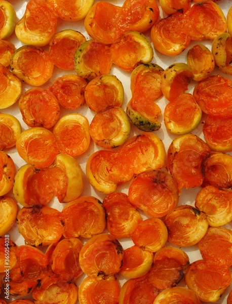 Obraz Dried apricots