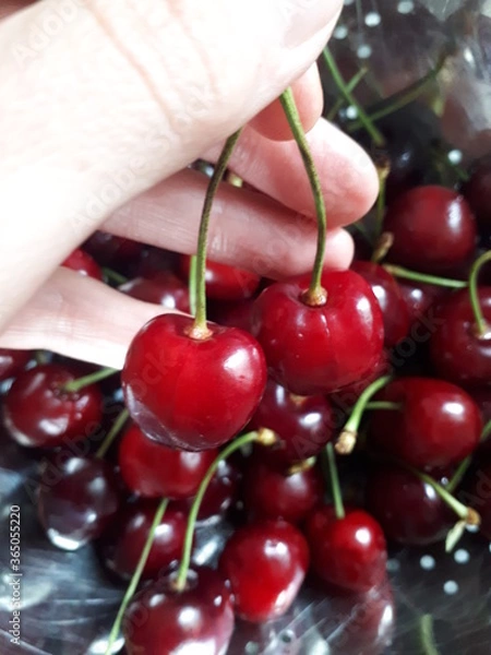 Fototapeta double heart