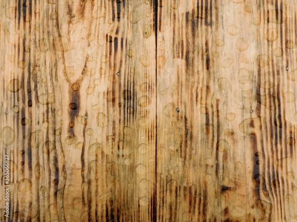 Obraz 
Morning dew on burned pine boards