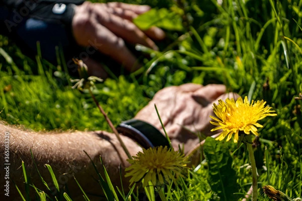 Obraz Hände im Gras 