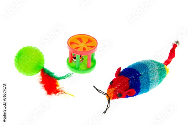 Obraz Cat toys