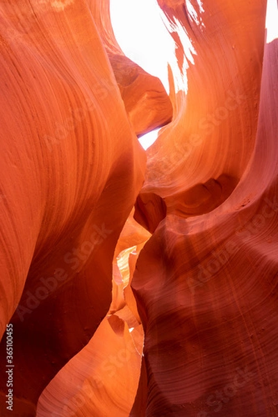 Fototapeta Panoramic image of the colorful Sunset on the Grand Canyon in Grand Canyon National Park from the south rim part,Arizona,USA, on a sunny cloudy day with blue or gloden sky