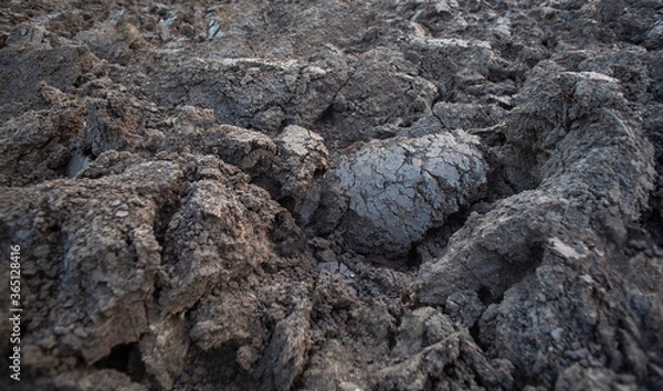Obraz Natural textured basckground of plowed land without plants.