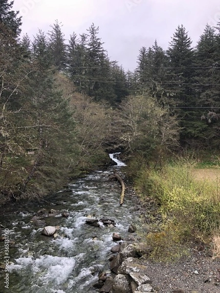 Obraz river in the mountains