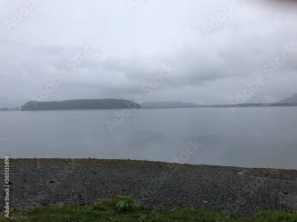 Obraz fog over the river