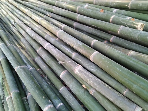 Fototapeta background of bamboo