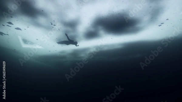 Obraz flight over the sea