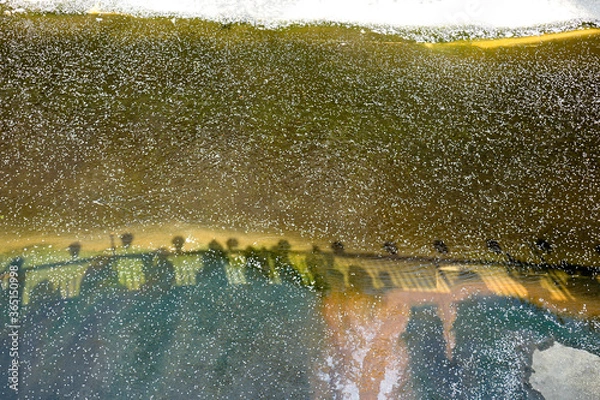 Obraz 川に流れる散った桜