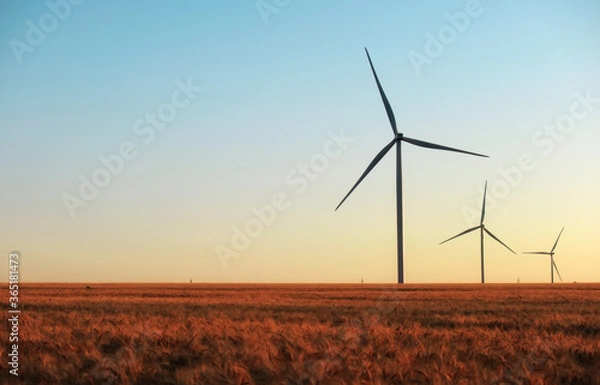 Fototapeta Wind turbines and agricultural field on a summer day. Energy production, clean and renewable energy.