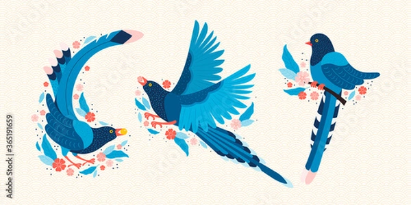 Fototapeta Taiwan blue magpie. Symbol of Taiwan Urocissa caerulea. Exotic birds of Taiwan, China and of Asia. Blue cartoon bird and pink sakura blossoms. Hand drawn vector flat illustration in Scandinavian style