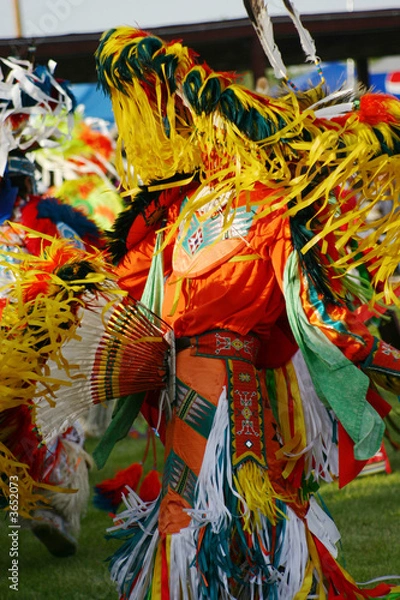 Obraz Eastern Shoshone Powwow Dancers
