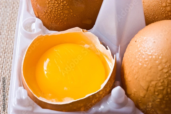 Obraz egg yolk