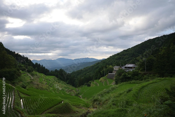 Fototapeta 内子の泉谷棚田