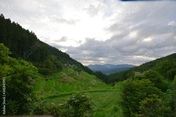 Fototapeta 内子の泉谷棚田