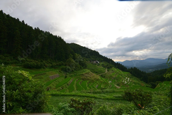 Fototapeta 内子の泉谷棚田