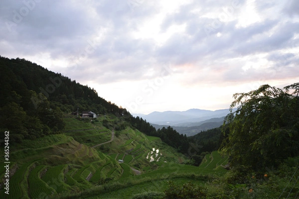 Fototapeta 内子の泉谷棚田