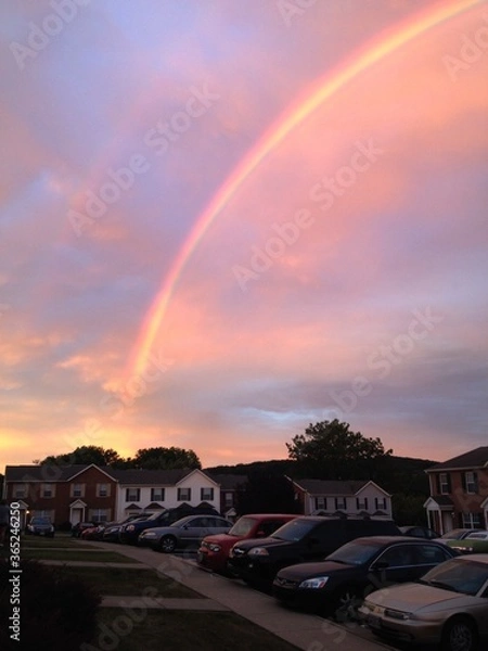 Obraz Rainbow with Pink