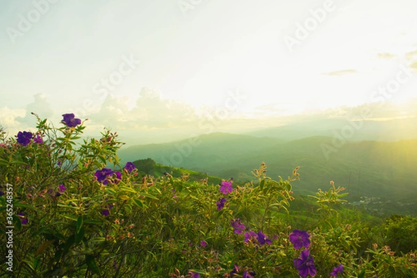 Obraz Sunset with alternating mountains and flowers