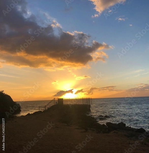 Obraz sunset on the beach