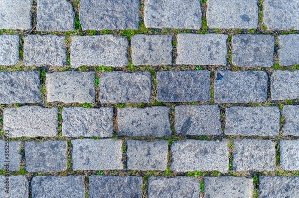 Fototapeta A texture of paving stone for a background or a pattern for 3d.