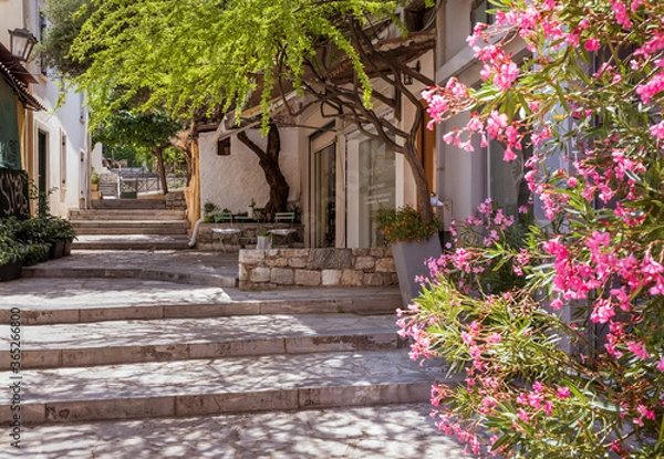 Obraz Picturesque quiet alley in the Plaka old town of Athens with steps, trees and flowers.