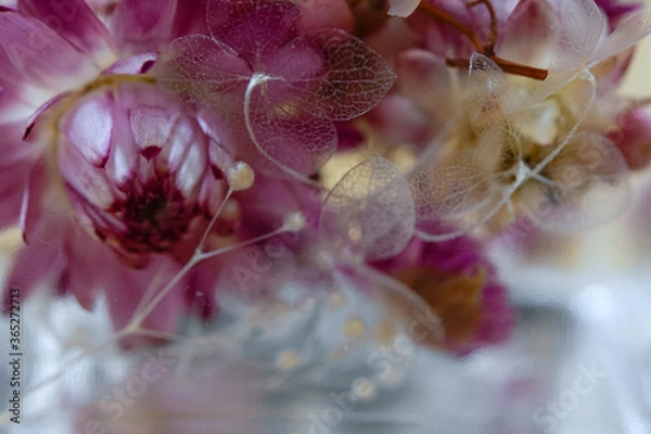 Obraz 星のかけら