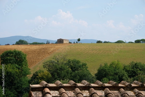 Obraz Panorama della Val d'Orcia