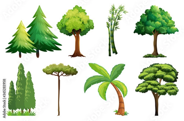 Fototapeta Set of different tree