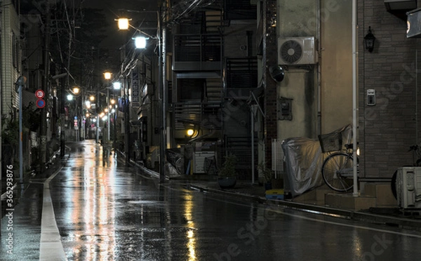 Obraz Rain on empty streetsNight view of an empty rain-soaked street illuminated by streetlamps in a suburban part of western Tokyo