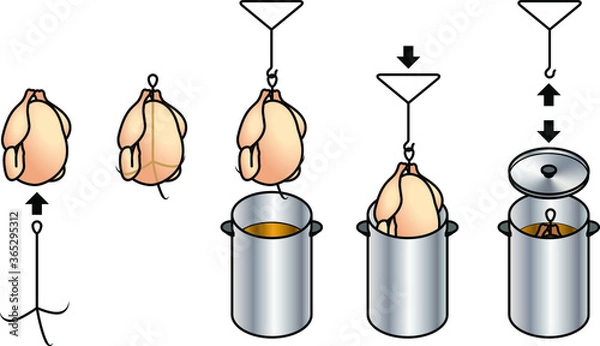Fototapeta Turkey frying method / steps: inserting the frame / stand into the turkey, using the handle to lower the turkey into the pot of oil.