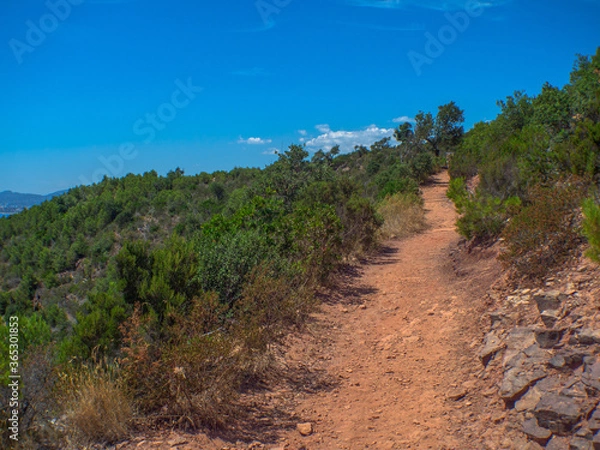 Obraz Sentier provençal