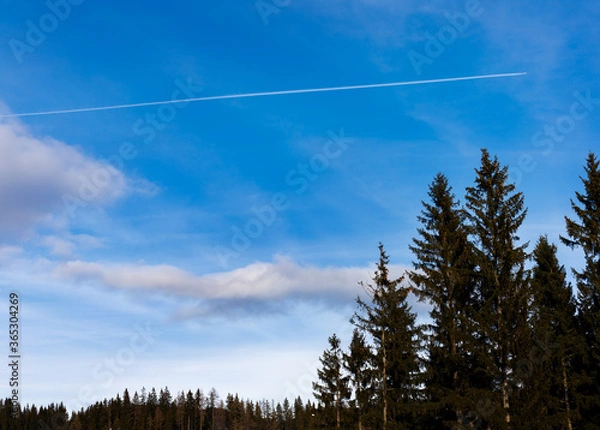 Obraz condensation trail and clouds over the forest on blue sky