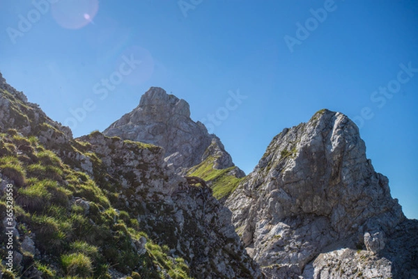 Obraz mountain landscape with blue sky