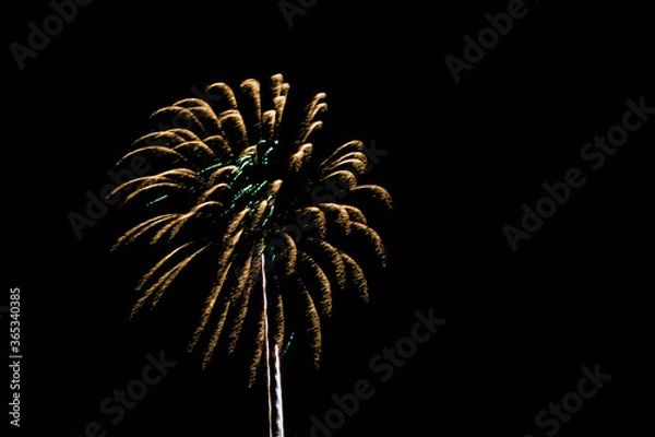 Obraz Fireworks at Night