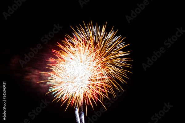 Obraz Fireworks at Night