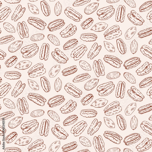 Fototapeta Pecan nut seed, plant pattern. Hand drawn style. Retro vintage graphic design. Detailed botanical vector sketch for Organic Food, cosmetics component