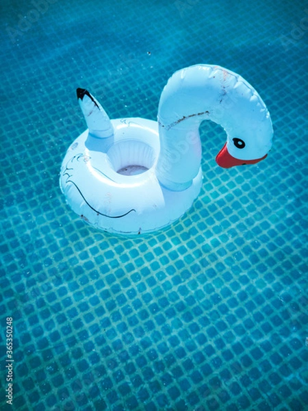 Obraz Poll Party is over